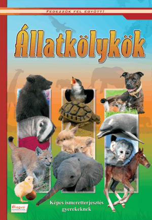 Állatkölykök - Képes ismeretterjesztés gyerekeknek /Fedezzük fel!