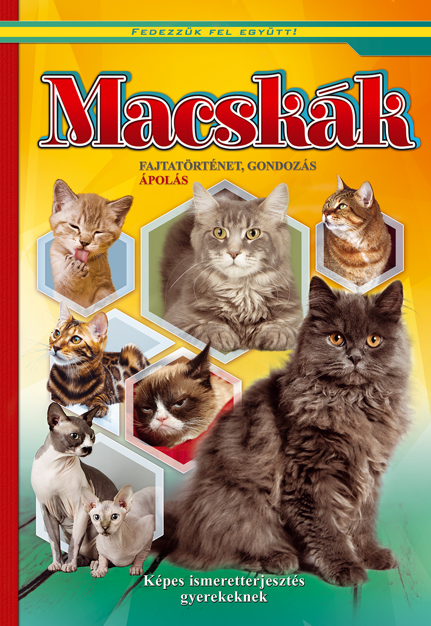 Macskák - Fajtatörténet, gondozás, ápolás
