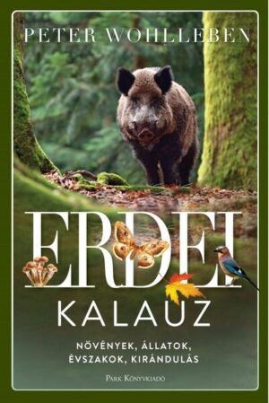 Erdei kalauz - Növények, állatok, évszakok, kirándulás (2. kiadás)