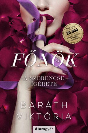 A szerencse ígérete - A főnök 3. (éldekorált)