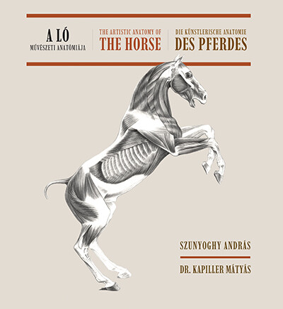 A ló művészeti anatómiája (magyar-angol-német nyelvű)