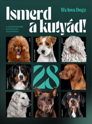 Ismerd a kutyád! - A legnépszerűbb kutyafajták gyűjteménye